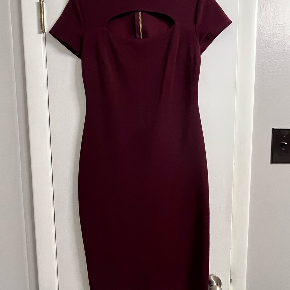 Premier Deep Burgundy Mini Dress